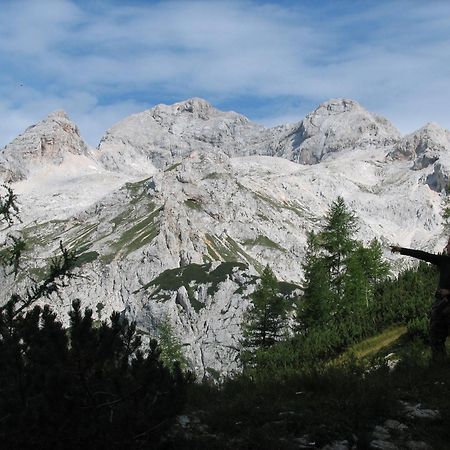Apartmaji Rabic Bohinj ภายนอก รูปภาพ