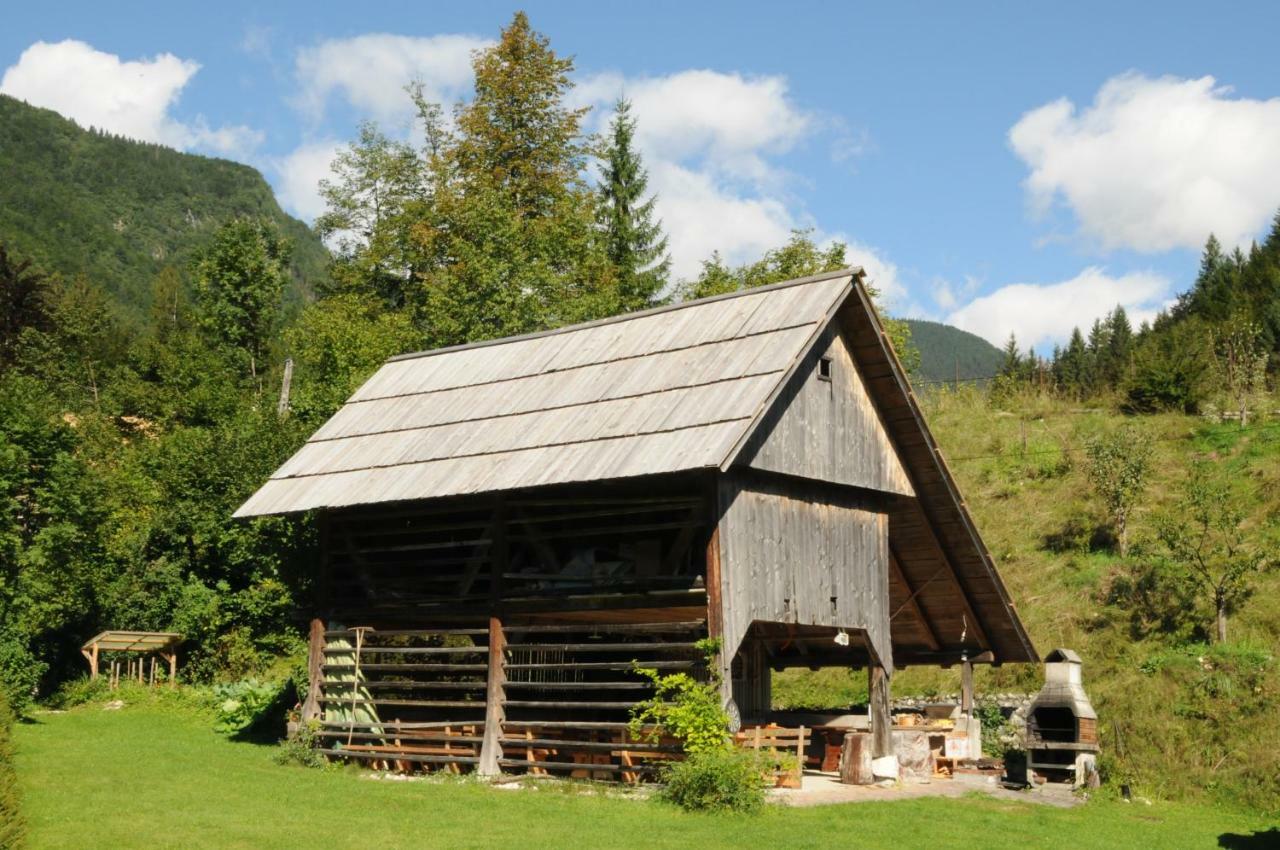 Apartmaji Rabic Bohinj ภายนอก รูปภาพ